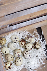 Quail eggs. They lie on paper chips in a wooden box.