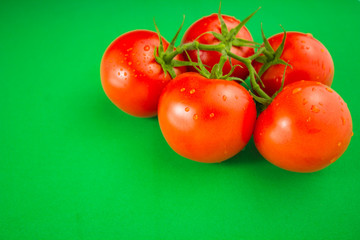 fresh red tomatoes on green background