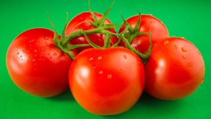 fresh red tomatoes on green background