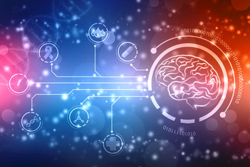 Human brain 2d illustration, Digital illustration of Human brain structure, Creative brain concept background, innovation background