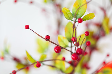 Spring studio decor, light home decor