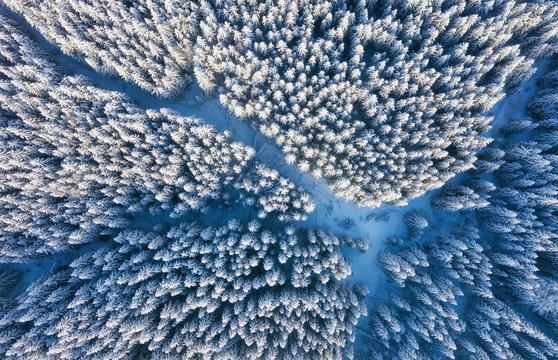 Fototapeta Aerial view on the road and forest at the winter time. Natural winter landscape from air. Forest under snow a the winter time. Landscape from drone