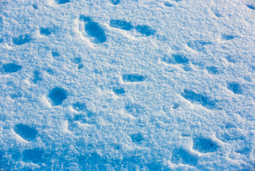 blue snow surface