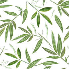 Bamboo seamless watercolor pattern. Green and white background. Floral pattern for textiles, paper, wallpaper.