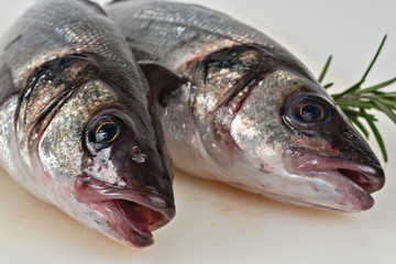 branzini su tagliere sintetico bianco fronte primo piano