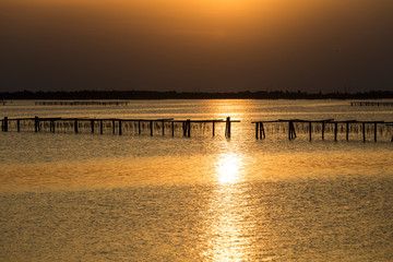 Natural Park of Po Delta in Italy