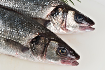 branzini su tagliere sintetico bianco da sopra particolare