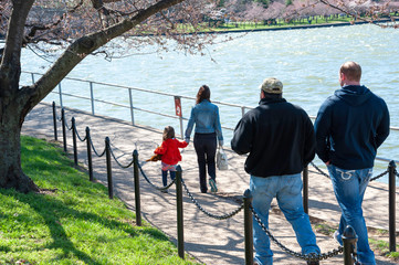 Visitors to the DC head towards the Tidal Basin to view the blooming cherry blossoms.