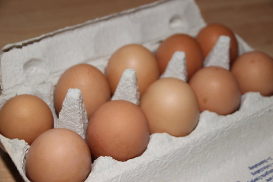 Eierschachtel mit Bioeiern 
