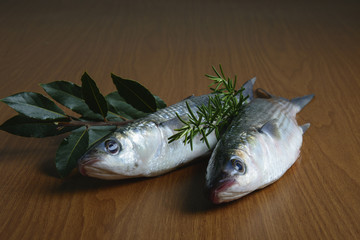 muggini su tavolo primo piano