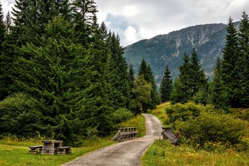 Path to the mountains through the forest in the Czech Republic. Beautiful panoramic nature in the mountains, a miracle of nature. Summer mood.