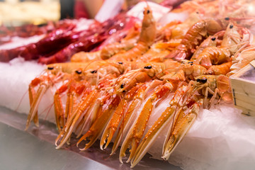 Pescados, moluscos,crustáceos en el mercado