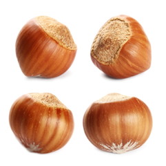 Hazelnut set isolated on white background