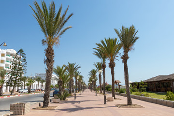 Fototapeta na wymiar Palm-tree lined promenade with lampposts Yasmine Hammamet, Tunisia
