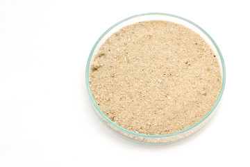 Sand samples for analysis in the laboratory.