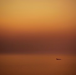 Whether in a desert or an ocean of yellows