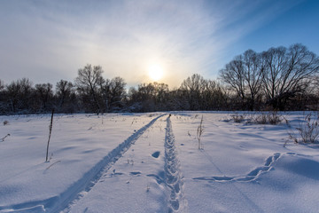 winter landscape at sunset. field in the snow, the sun on the horizon. the snow glitters in the freezing cold