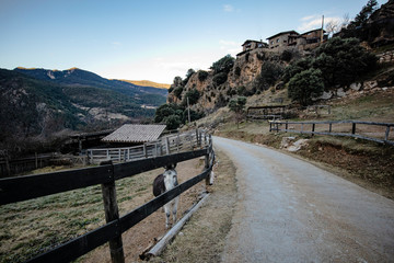 Fototapeta na wymiar Rural path with wooden fence on a winter mountain landscape and blue sky in the dusk