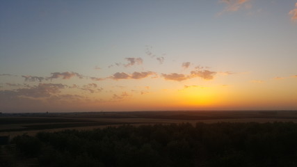 sunset in the fields