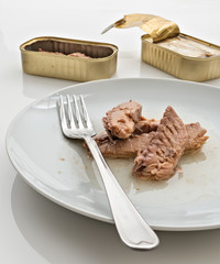 sgombri nel piatto con scatola dal basso