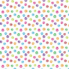 Colorful pattern with animal paws