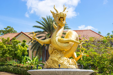 golden dragon in phuket town in thailand - obrazy, fototapety, plakaty
