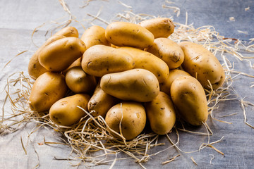 Frische Junge Bio Kartoffeln