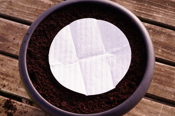 Seed mat in a pot