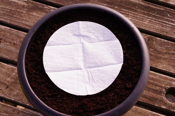 Seed mat in a pot