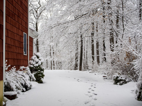 driveway and backyard covered with snow during the snow storm