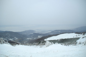 Fototapeta na wymiar Winter in the mountains. Snowy slopes. Ski slopes Svidovets spine. Dragobrat Ukraine