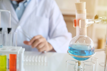 Fototapeta premium Scientists working in the laboratory