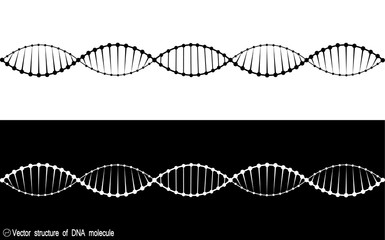 A set of two variants of the DNA molecule. black and white variety. Simple drawing, icon. For your design. Isolated. 10 eps