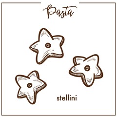 Pasta Stellini chalk sketch icon for Italian cuisine menu.