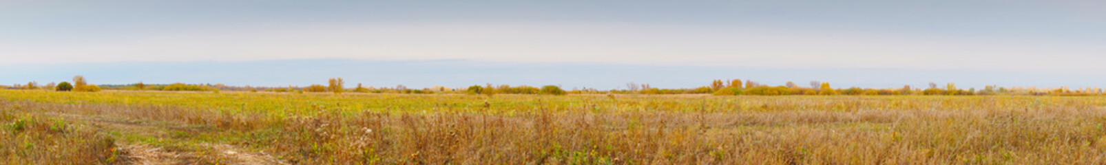 Panorama of a large autumn meadow on cloudy day