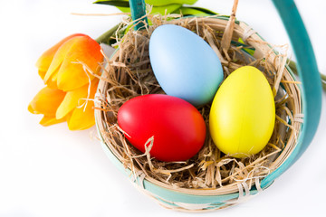 Colorful easter eggs in a basket and tulips isolated on white background. Top view. 