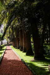 Obraz premium SONY DSC