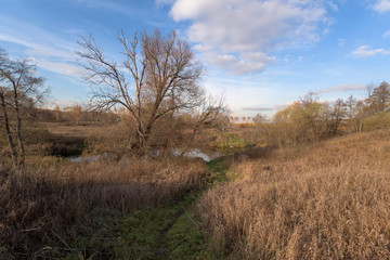 autumn colors landscape