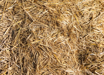 Straw background