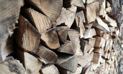 Fototapeta premium Holzstapel