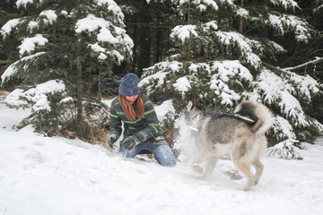 Husky dog runs in the woods with a girl. Play in the snow. Winter fun with a pet