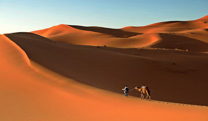 Fototapeta na wymiar Camel caravan in the Sahara desert