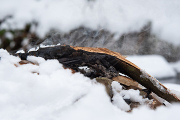 Campfire on snow in the winter forest