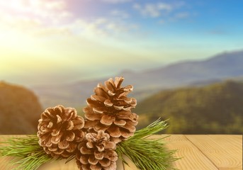 Pine cones with branch on a white background.
