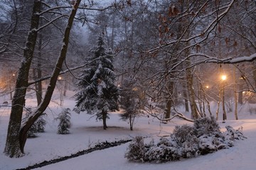 Polska, Gdańsk - zimowy Park Oruński © Iwona