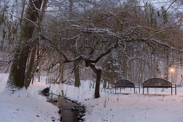 Polska, Gdańsk - zimowy Park Oruński © Iwona