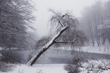 Polska, Gdańsk - zimowy Park Oruński © Iwona