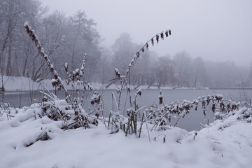 Polska, Gdańsk - zimowy Park Oruński