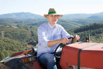 Man on tractor in vineyard