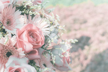 cloesup rose pastel tones. Beautiful flowers For moments of love Valentine's.